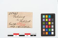 Etikett zu Bronzegürtelhaken (NHMW-PRAE-025493)